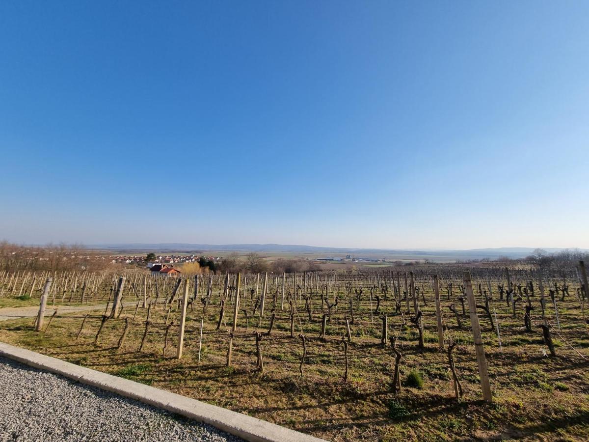 Villa Kuca Za Odmor Baron à Kutjevo Extérieur photo