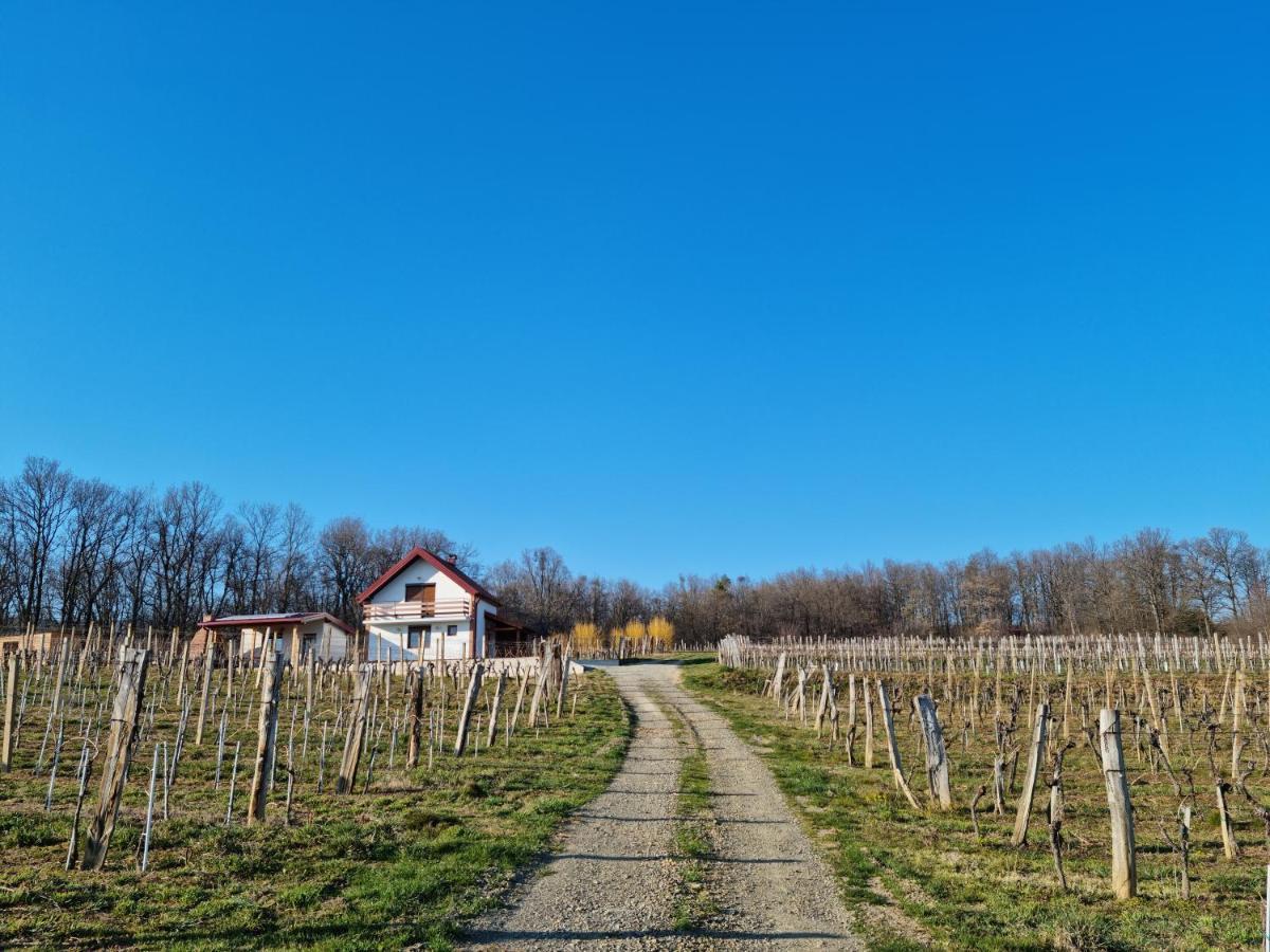 Villa Kuca Za Odmor Baron à Kutjevo Extérieur photo