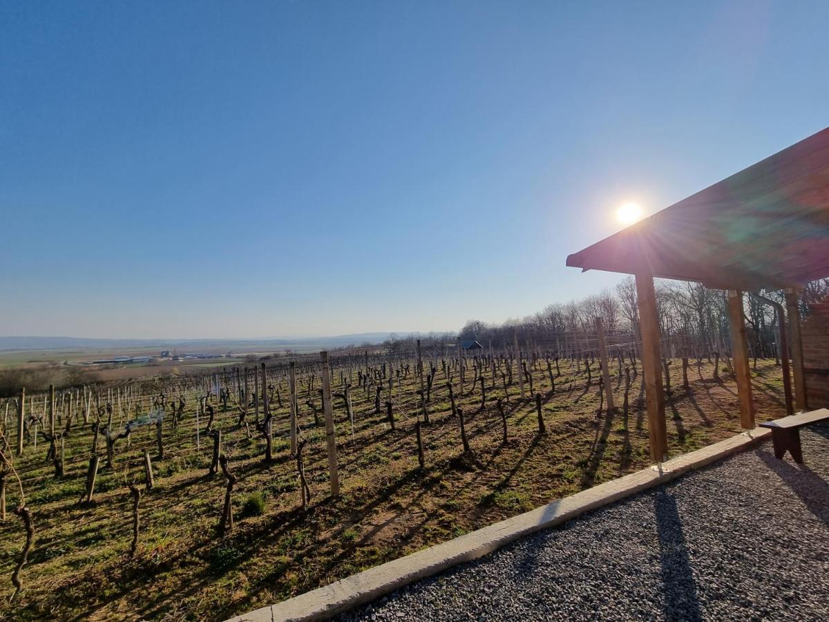 Villa Kuca Za Odmor Baron à Kutjevo Extérieur photo