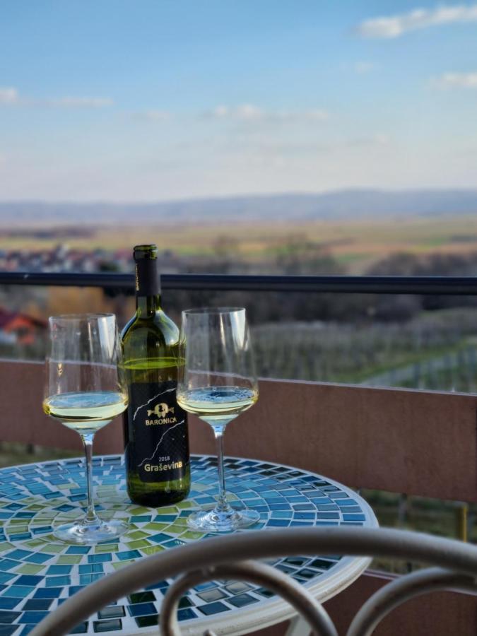 Villa Kuca Za Odmor Baron à Kutjevo Extérieur photo