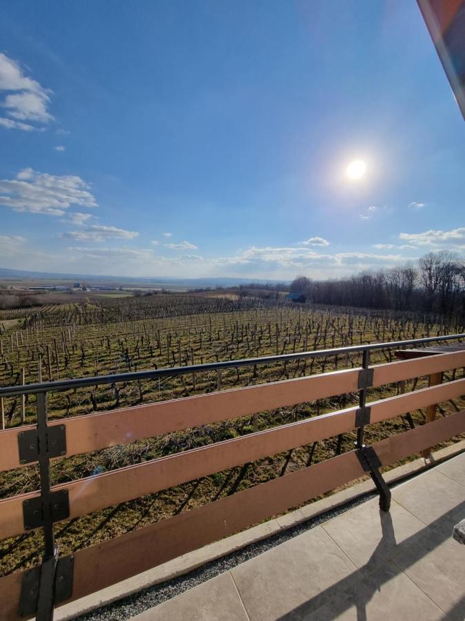 Villa Kuca Za Odmor Baron à Kutjevo Extérieur photo