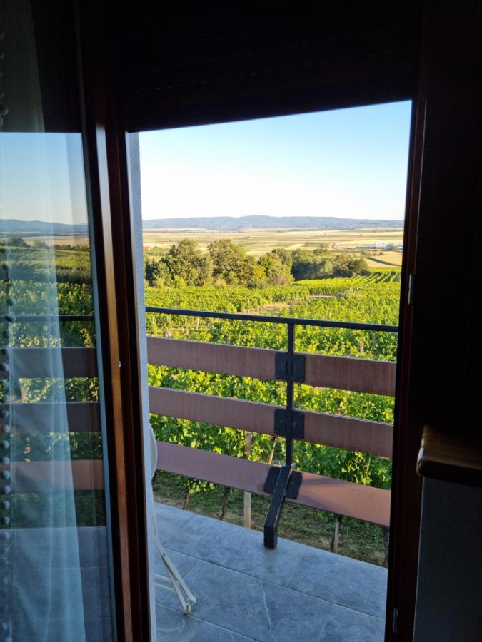 Villa Kuca Za Odmor Baron à Kutjevo Extérieur photo