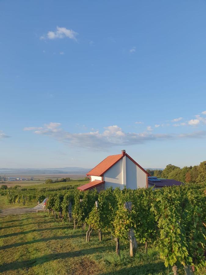 Villa Kuca Za Odmor Baron à Kutjevo Extérieur photo