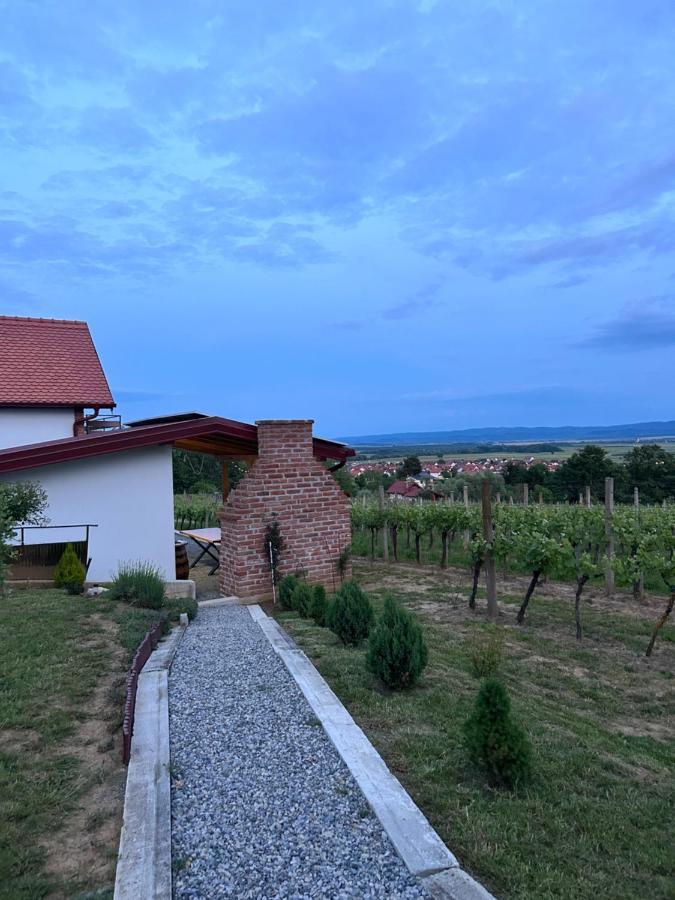 Villa Kuca Za Odmor Baron à Kutjevo Extérieur photo